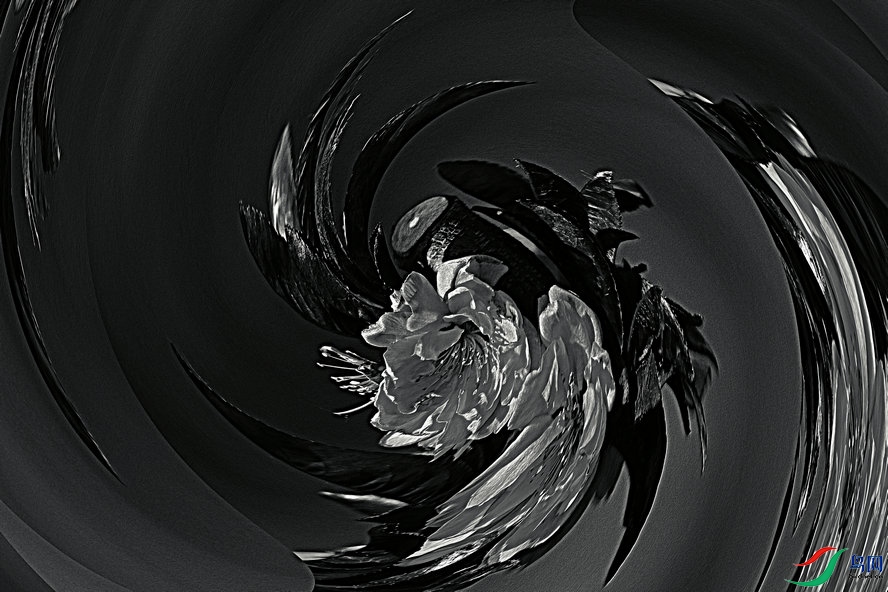 4K0A9702_����_����_����1_����.jpg