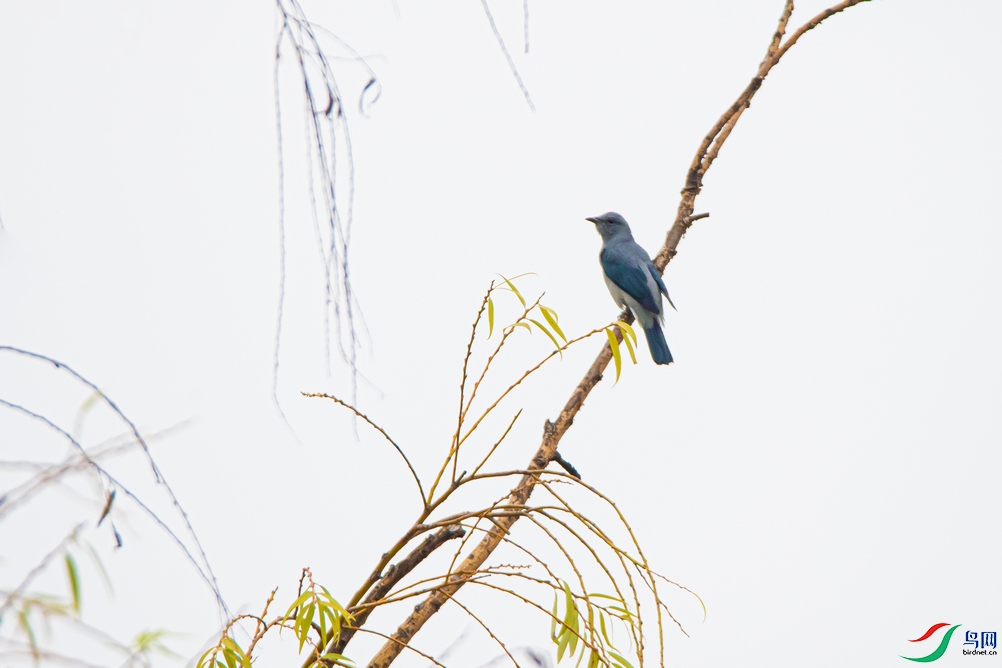 _DSC7264a.jpg
