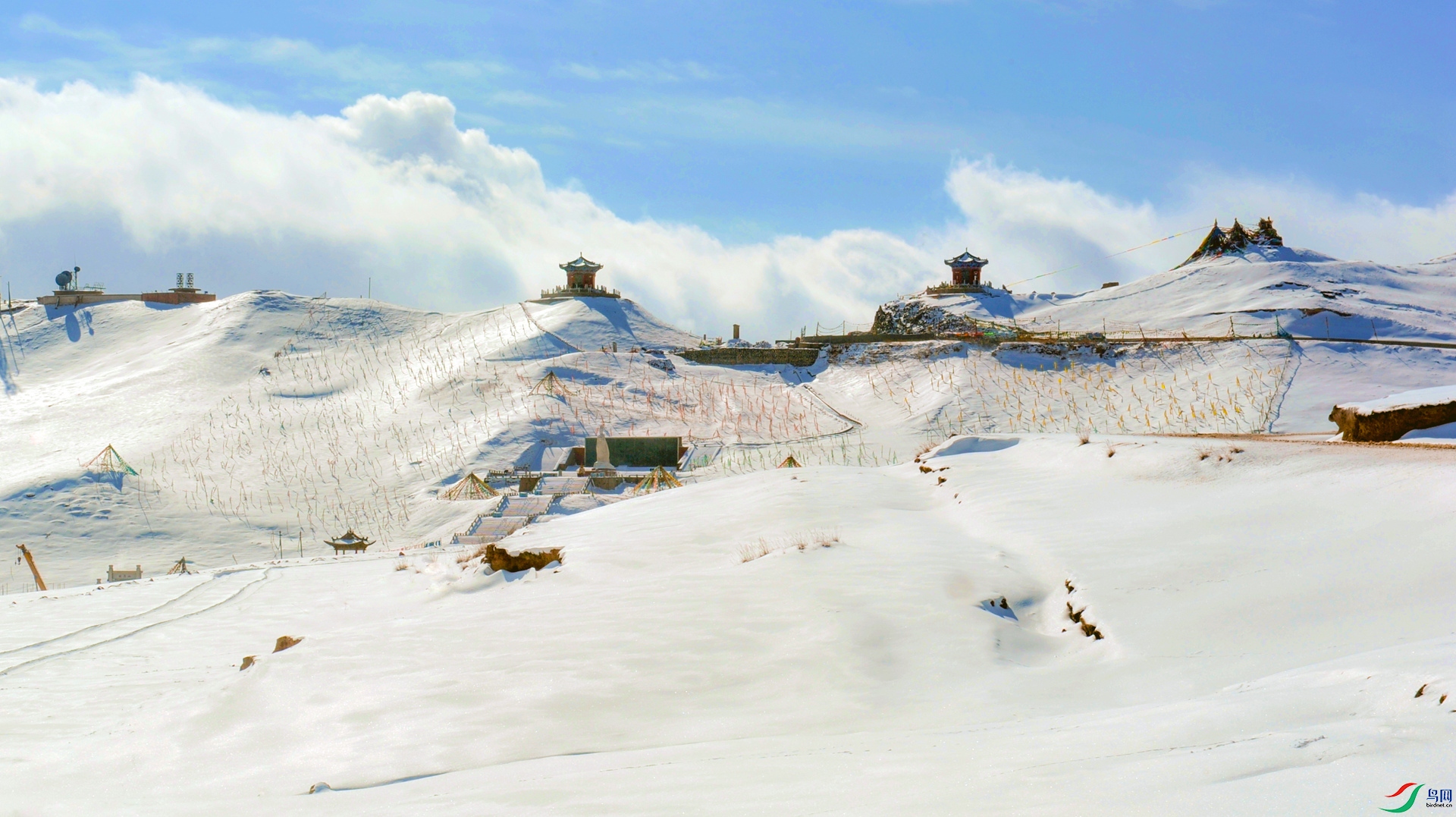 43 ����������ɽ���ŵ�ѩ�ϡ� _����.jpg