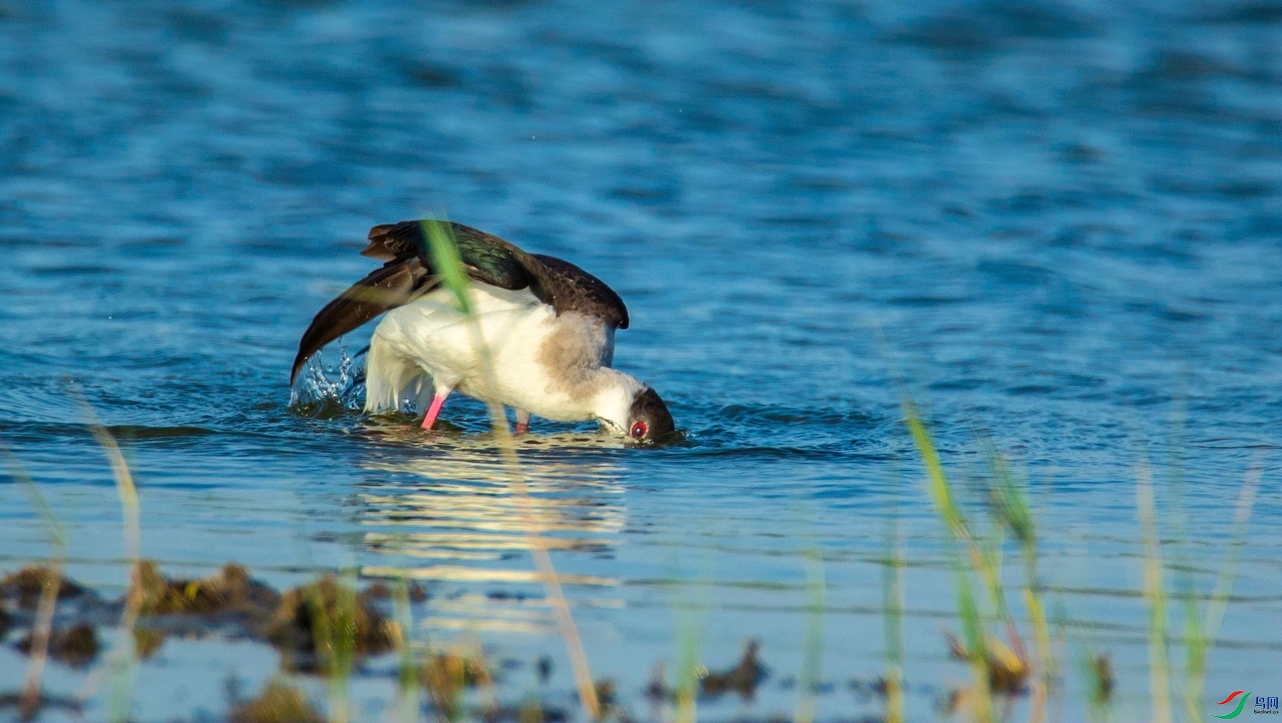 ԡ���� (3).jpg