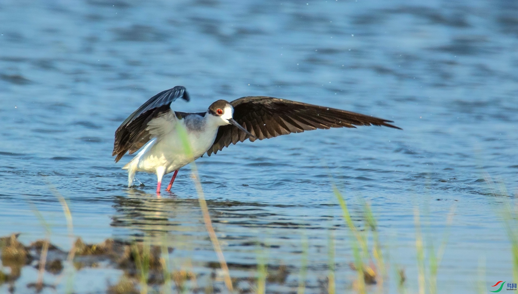 ԡ���� (5).jpg