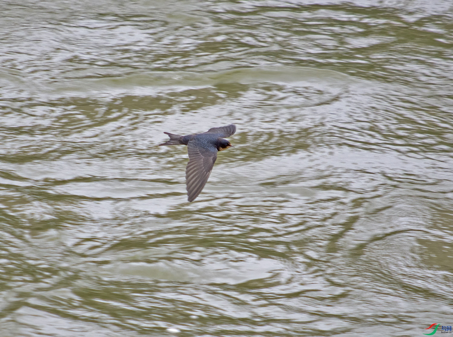 DSC_2316.jpg