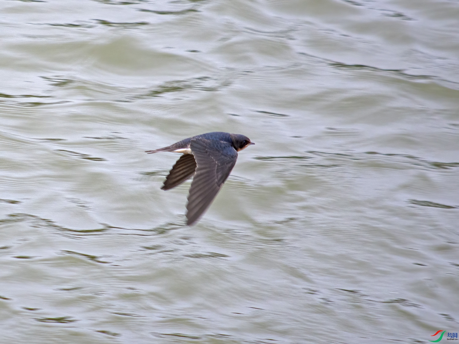 DSC_2308.jpg