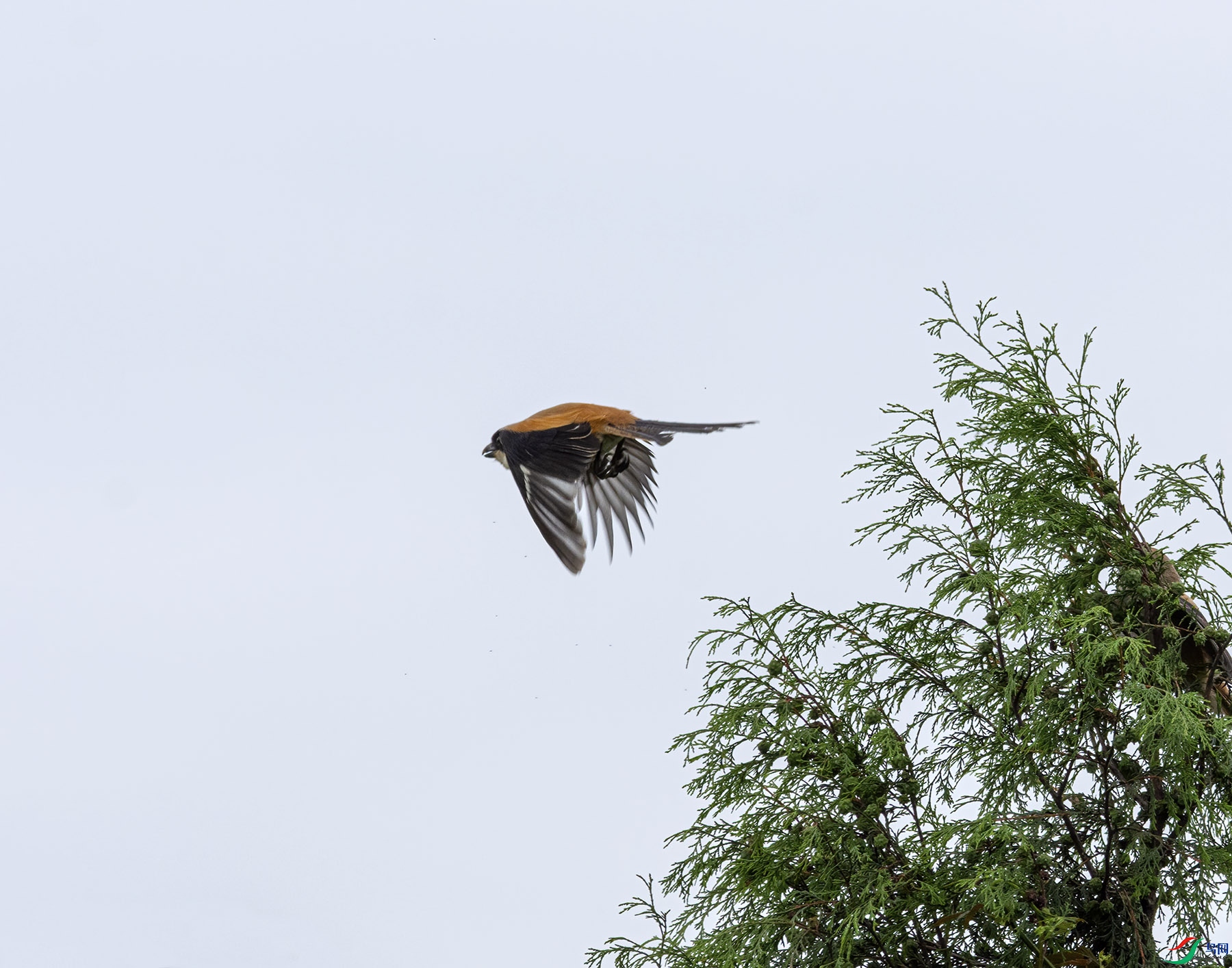 DSC_1846.jpg
