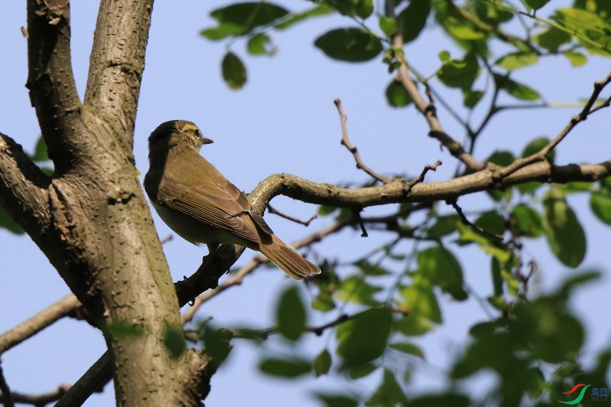 ʲô��        0F4A9503.jpg