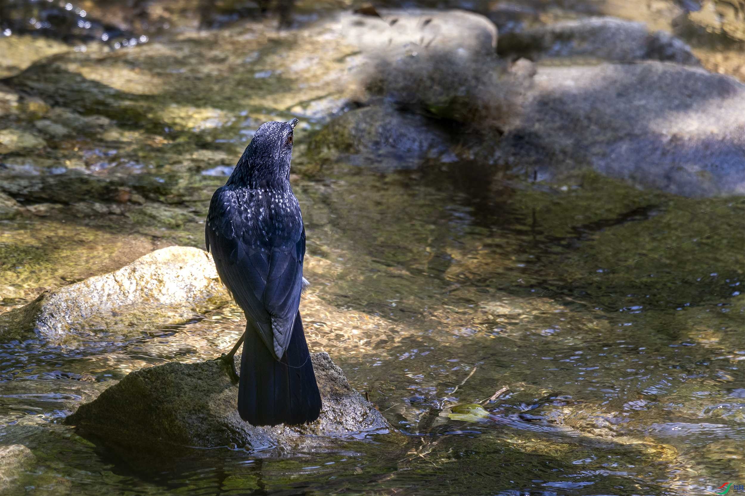 278A2348 ����.jpg