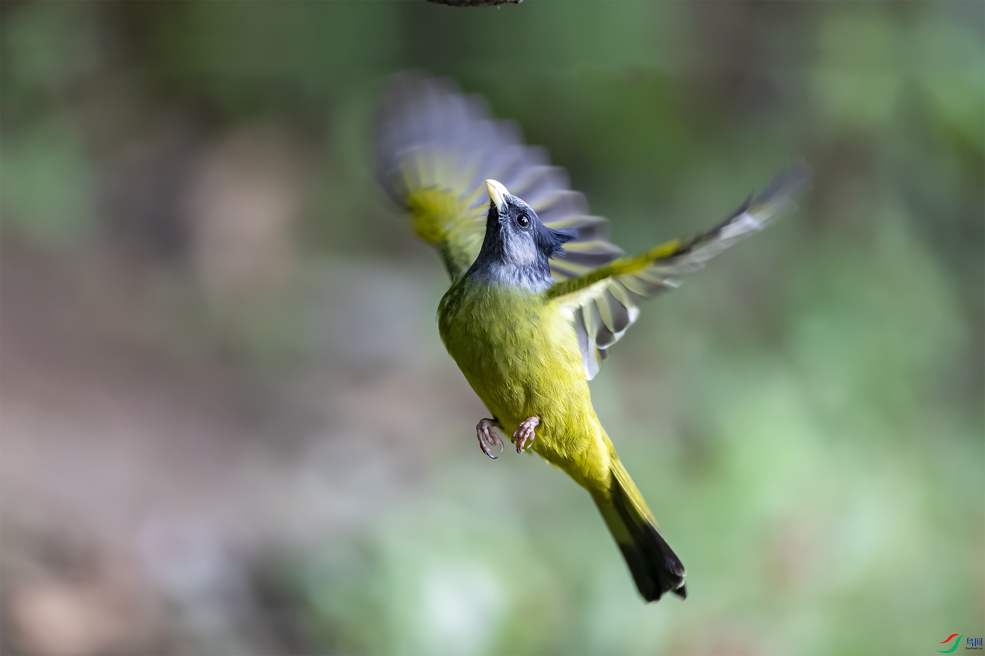 һŭ����_9120330-1.jpg