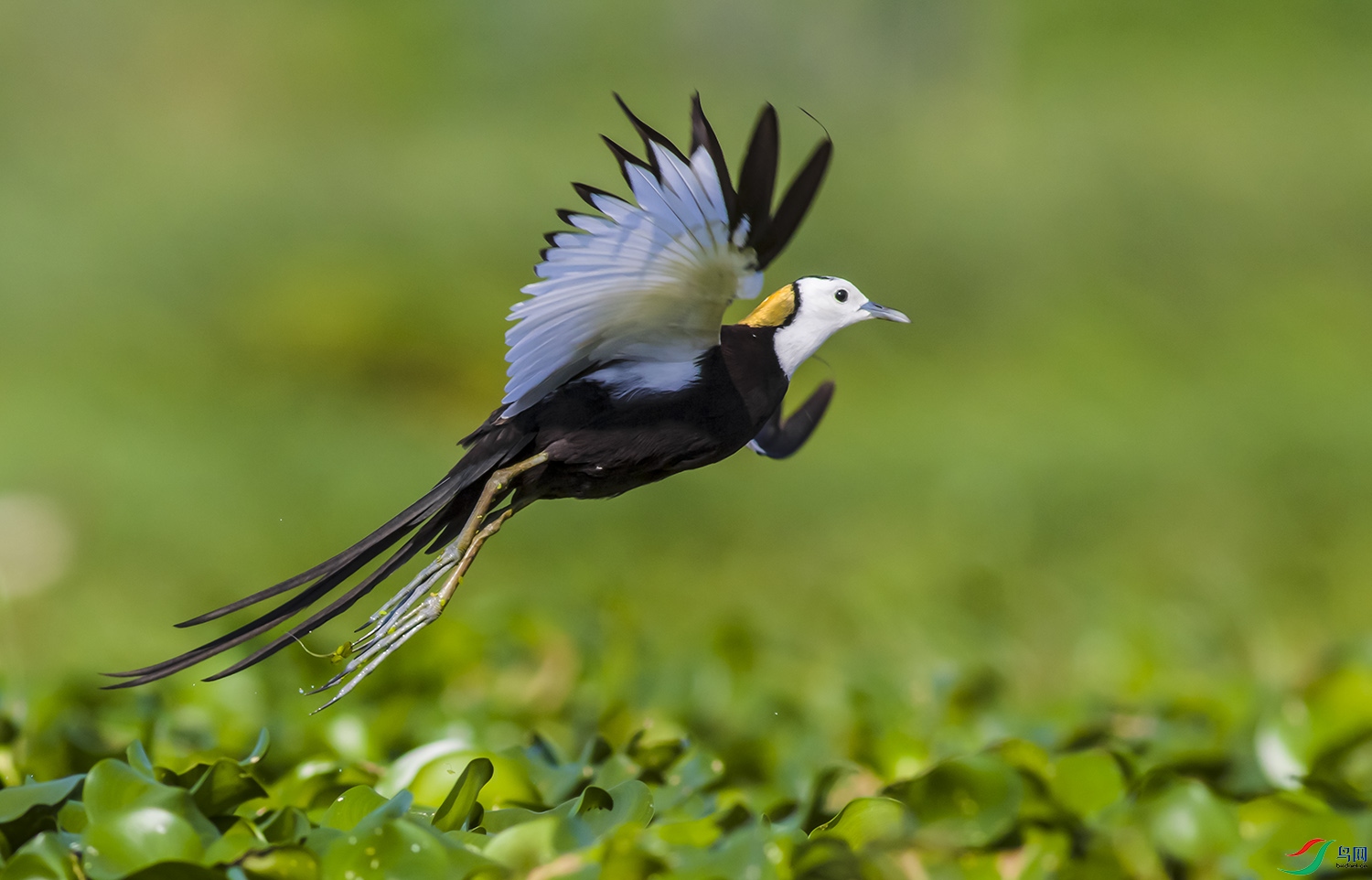 322A7450-P0.jpg
