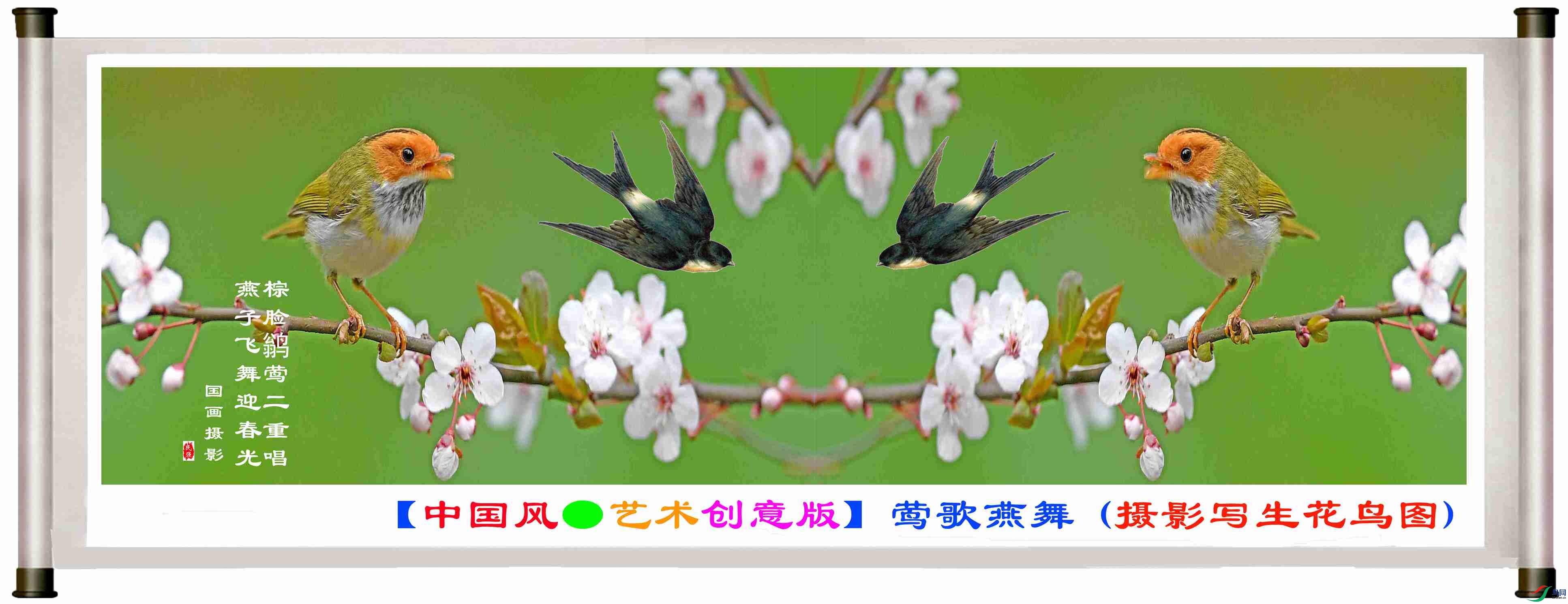 【中国风●艺术创意版】莺歌燕舞 (摄影写生花鸟图)