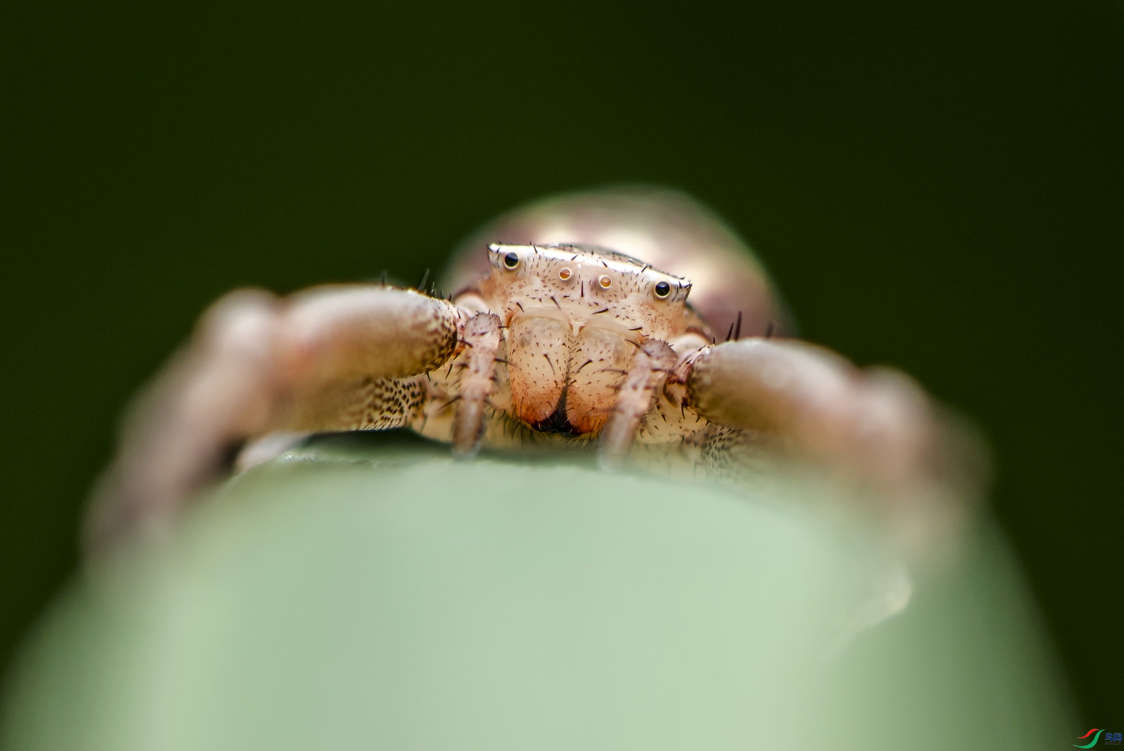 DSC_5051.jpg