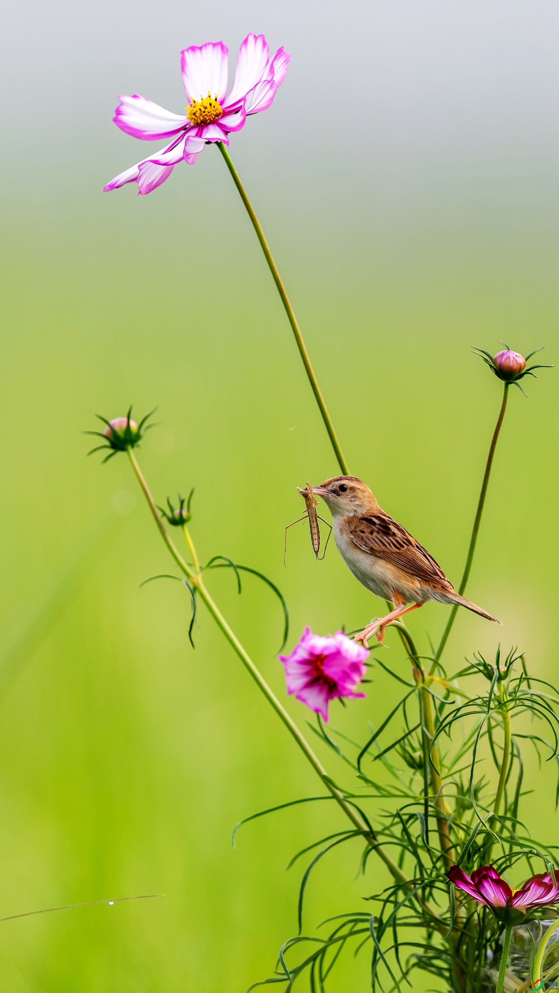 _DSC7958.jpgps3_����.jpg
