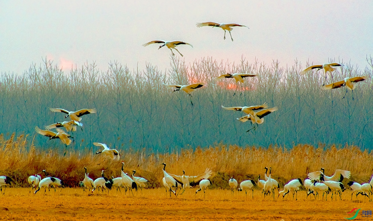 DSC_9364==1x.jpg
