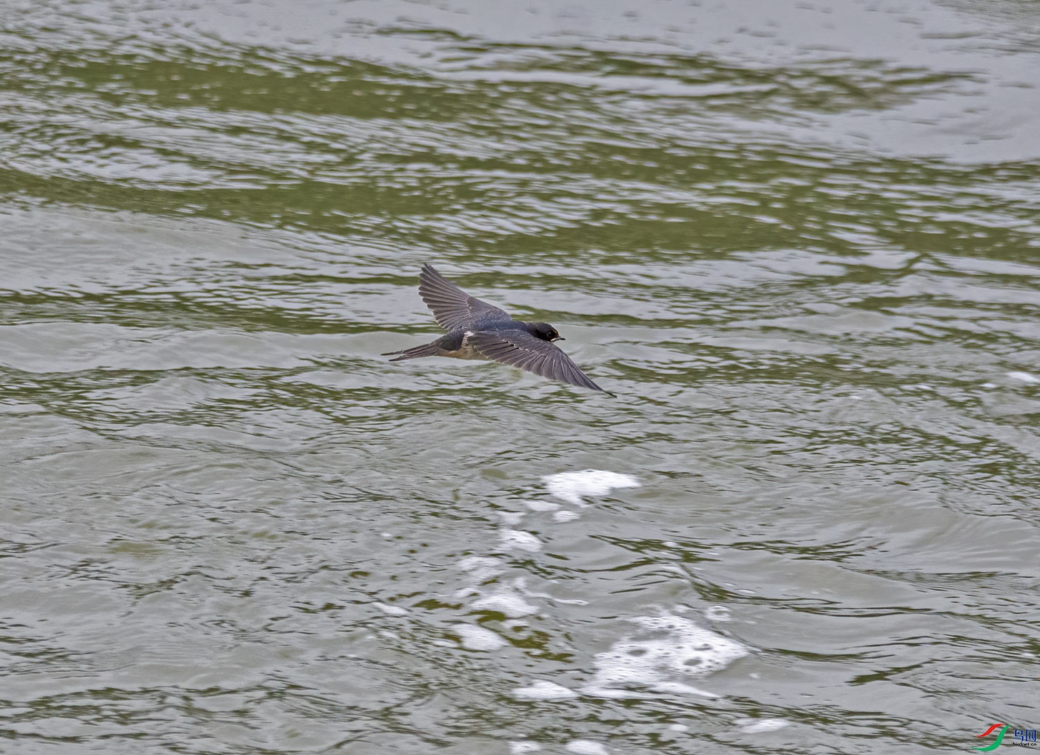 DSC_2446.jpg