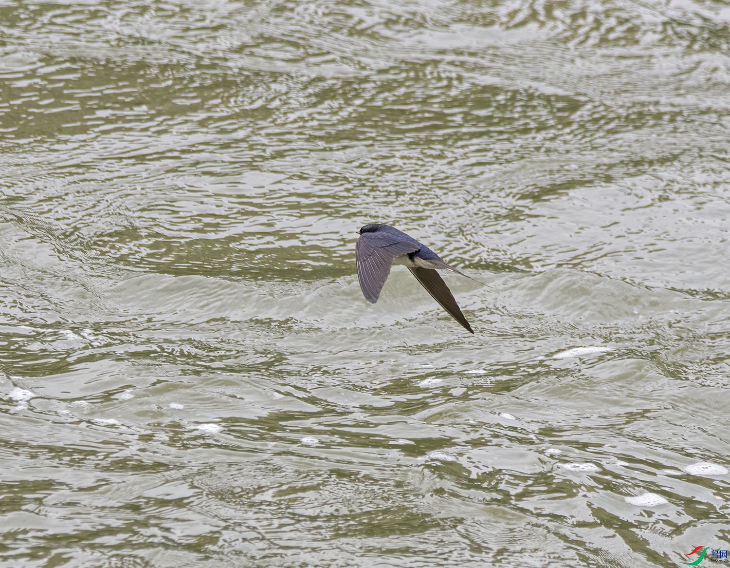 DSC_2442.jpg