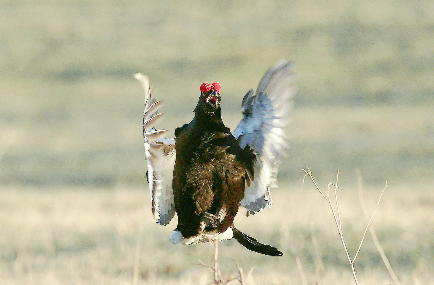 A 1�㽭_����.jpg