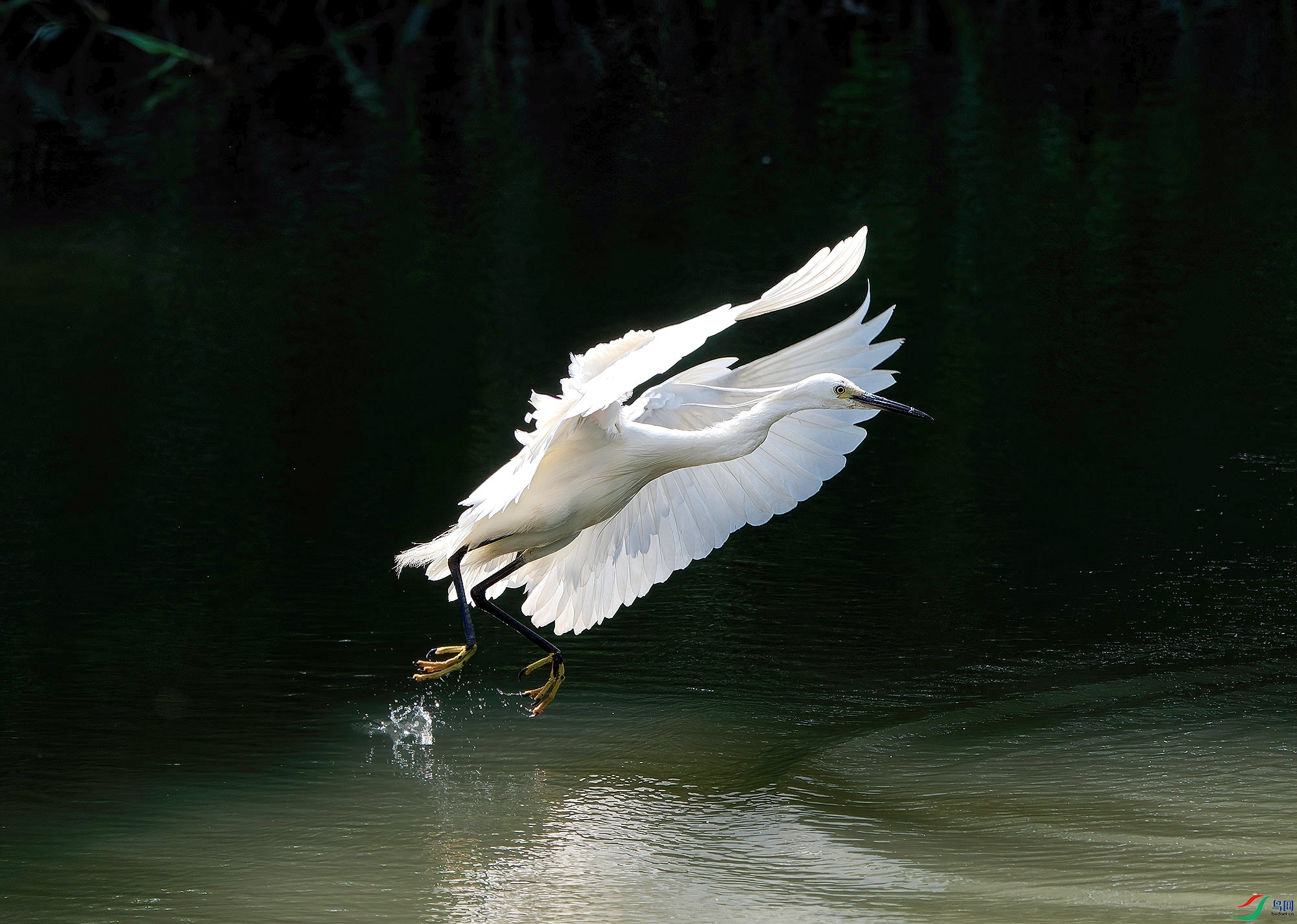 DSC_4304.jpg
