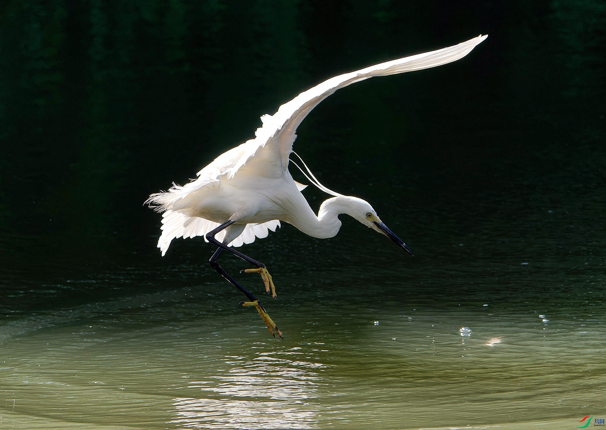 DSC_4306.jpg