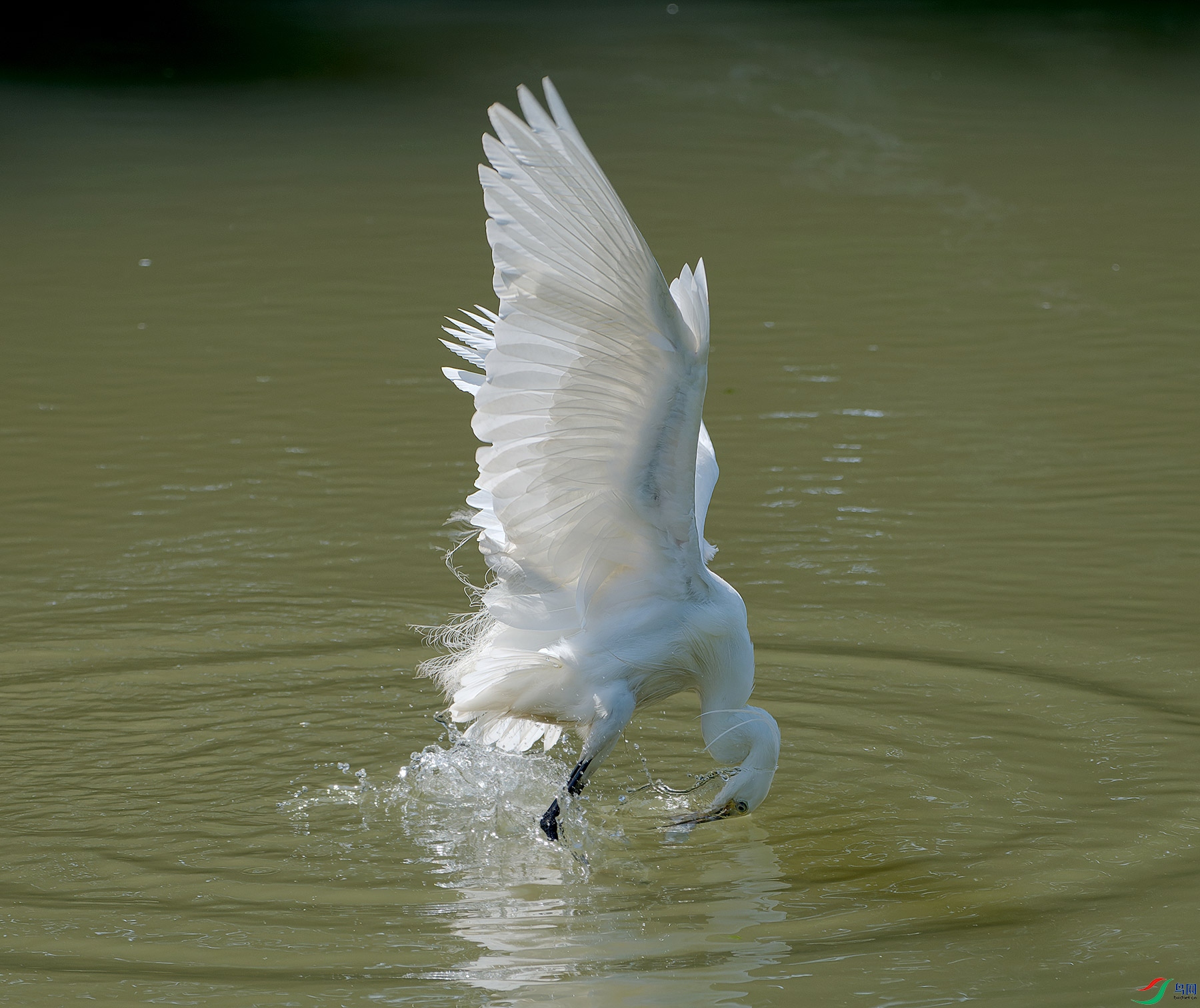 DSC_4328.jpg