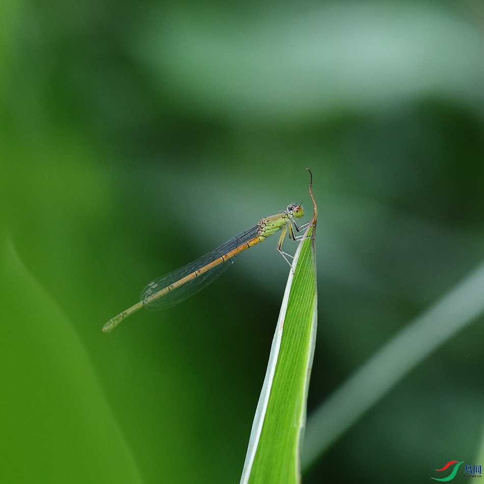 IMG_6286.JPG