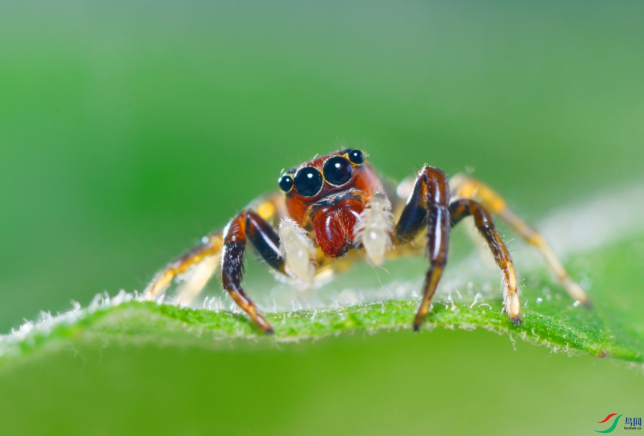 DSC_4850 ��������.jpg