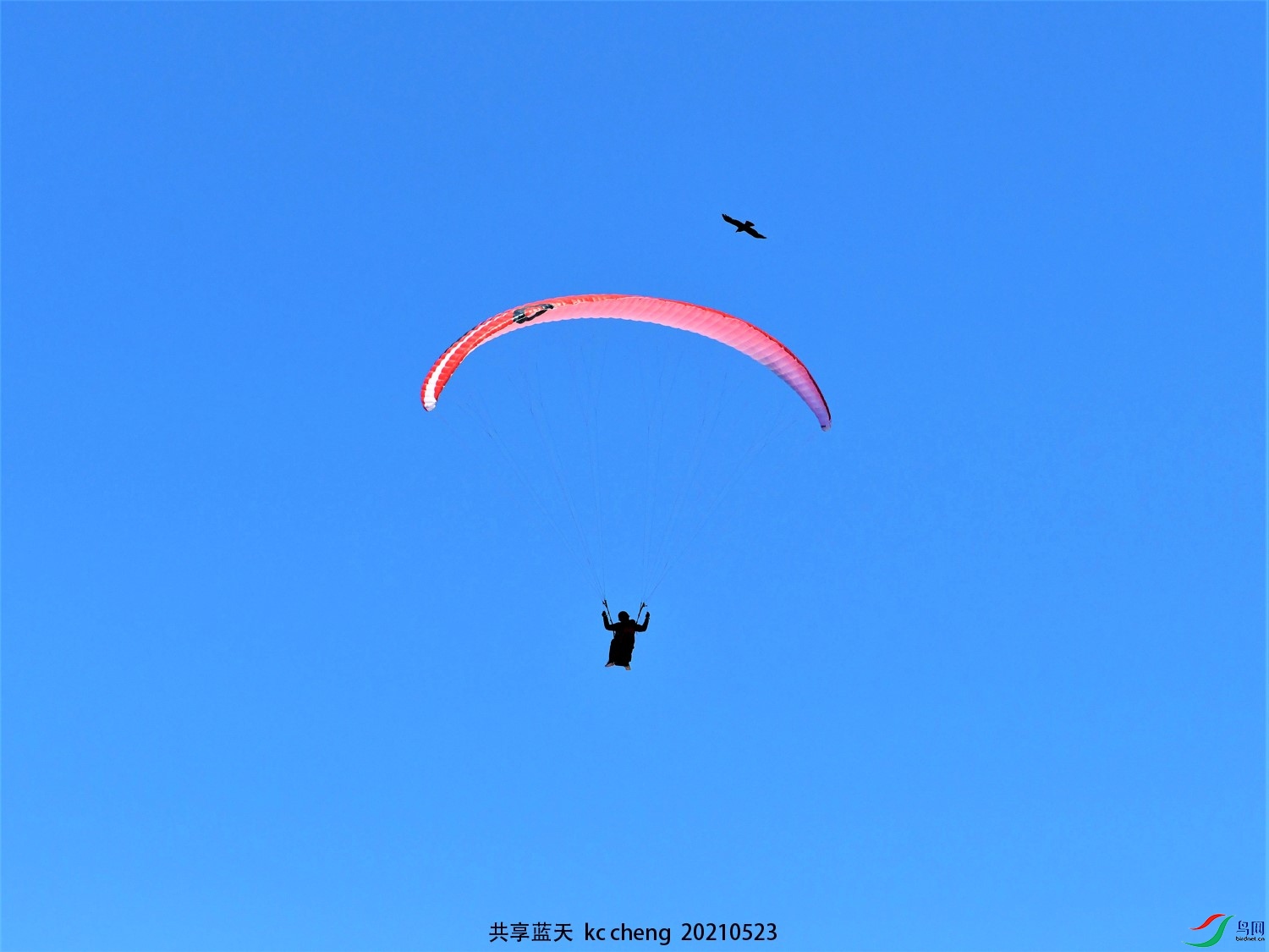 DSC_1731-��������-1500-KC.jpg