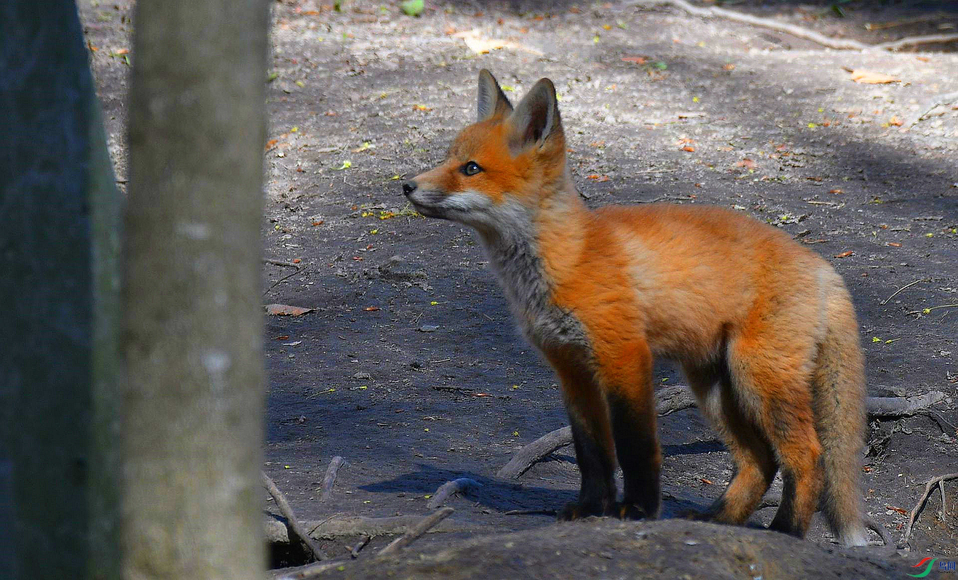 DSC_7407_����.jpg