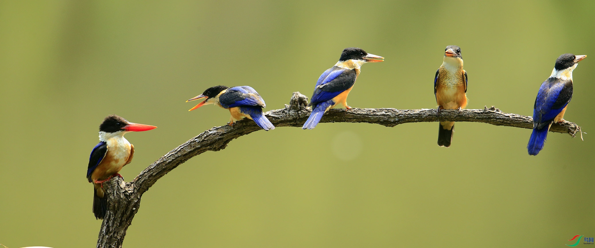 _I8T8182 (2)_����.jpg