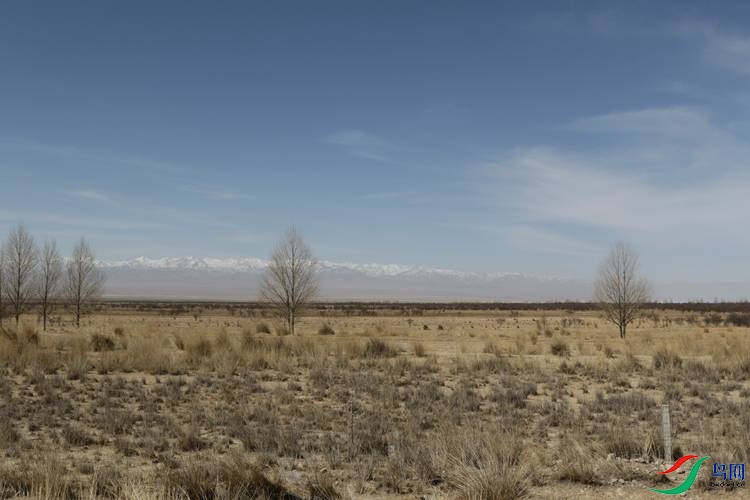 0S2A2577.jpg