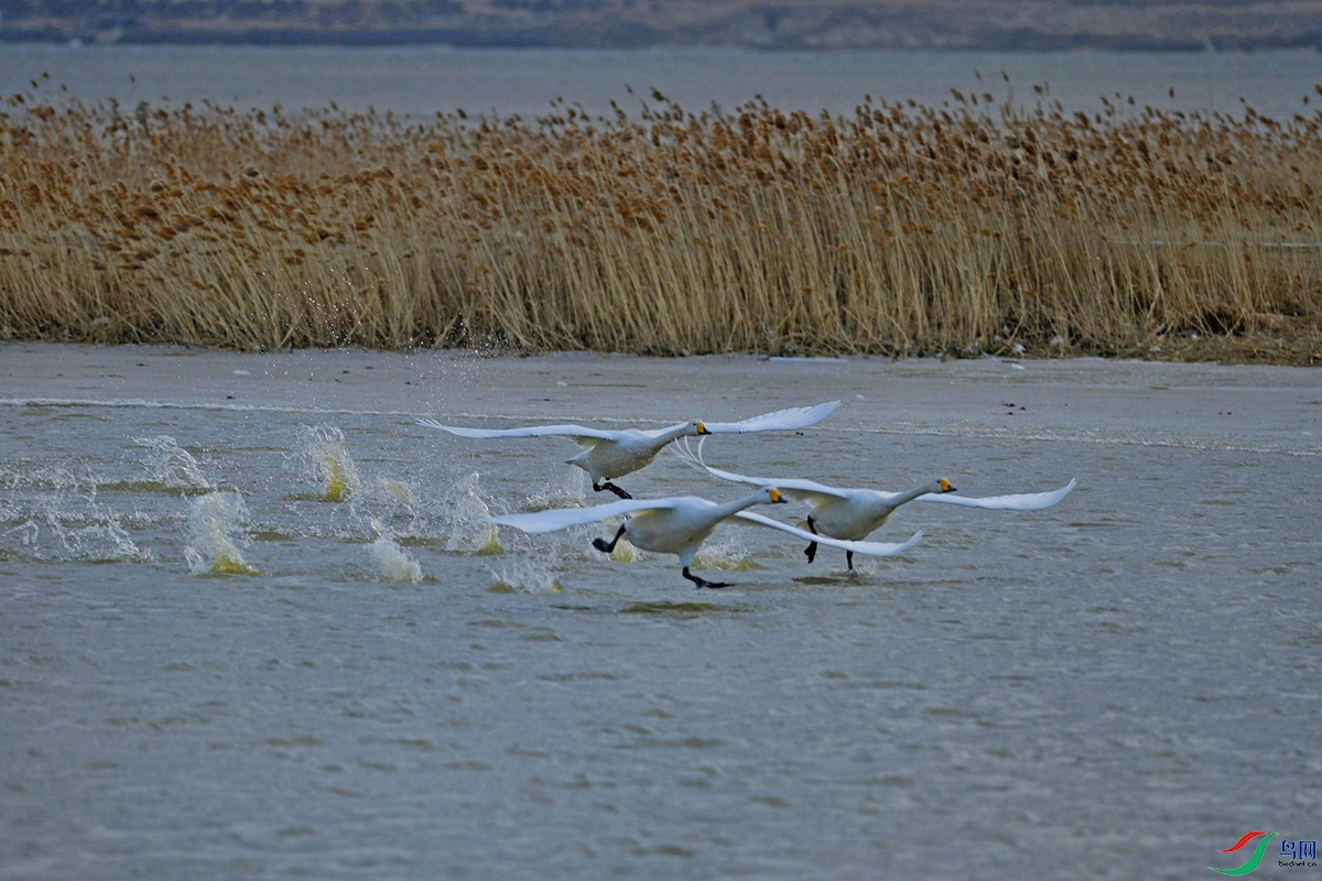 _DSC3237_����     .jpg