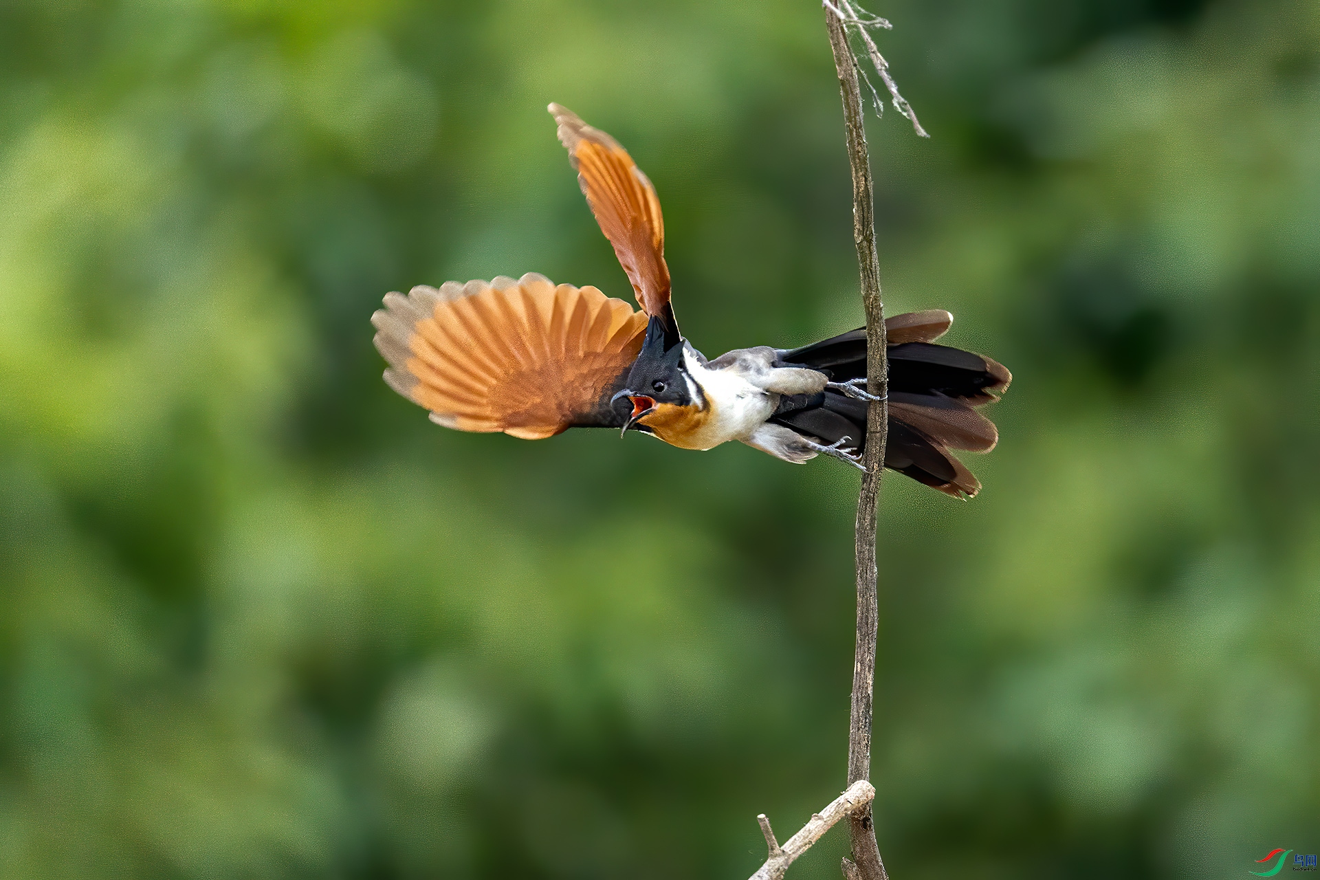 _32I3477 ����.jpg