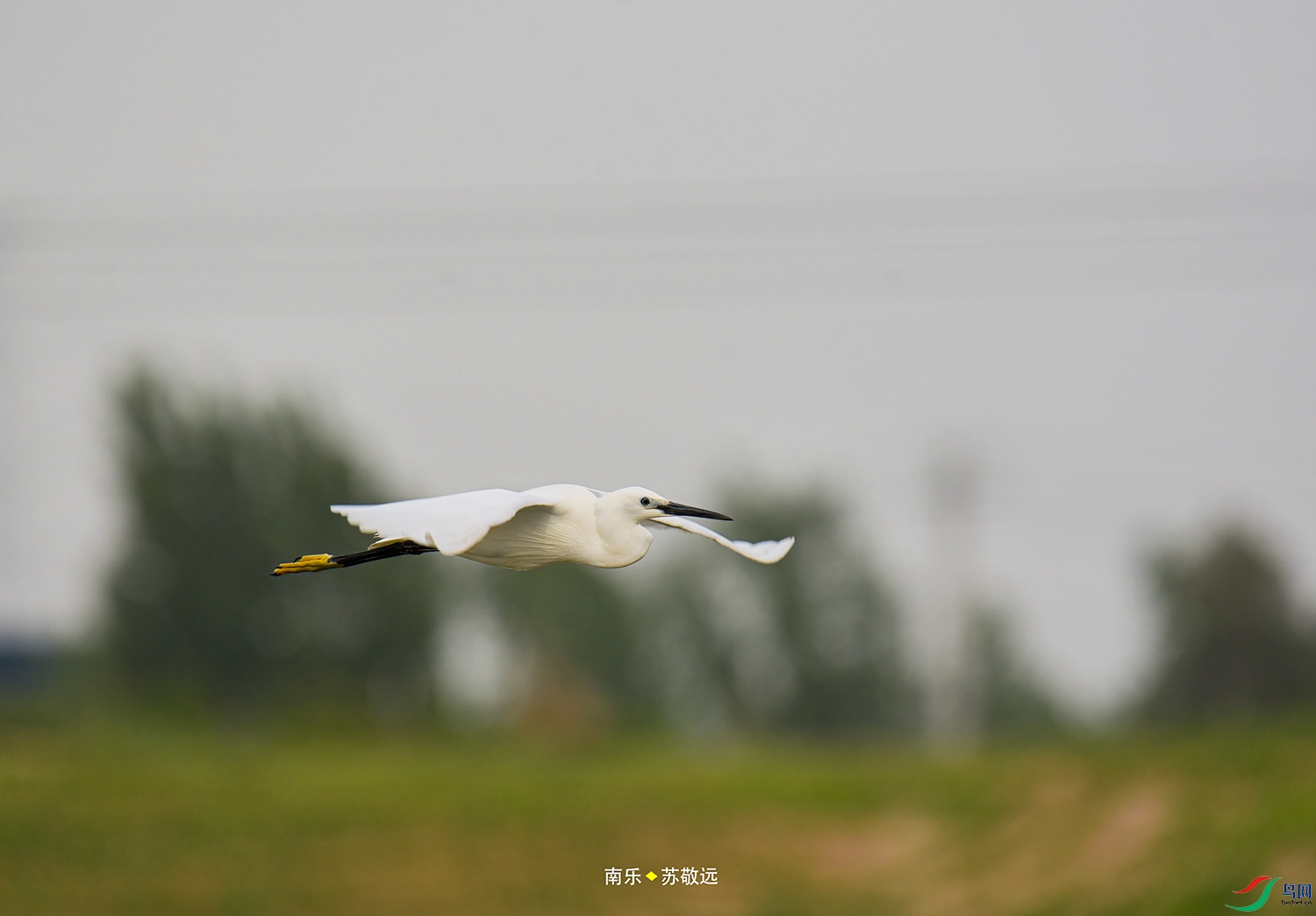 _DSC7074СС.jpg