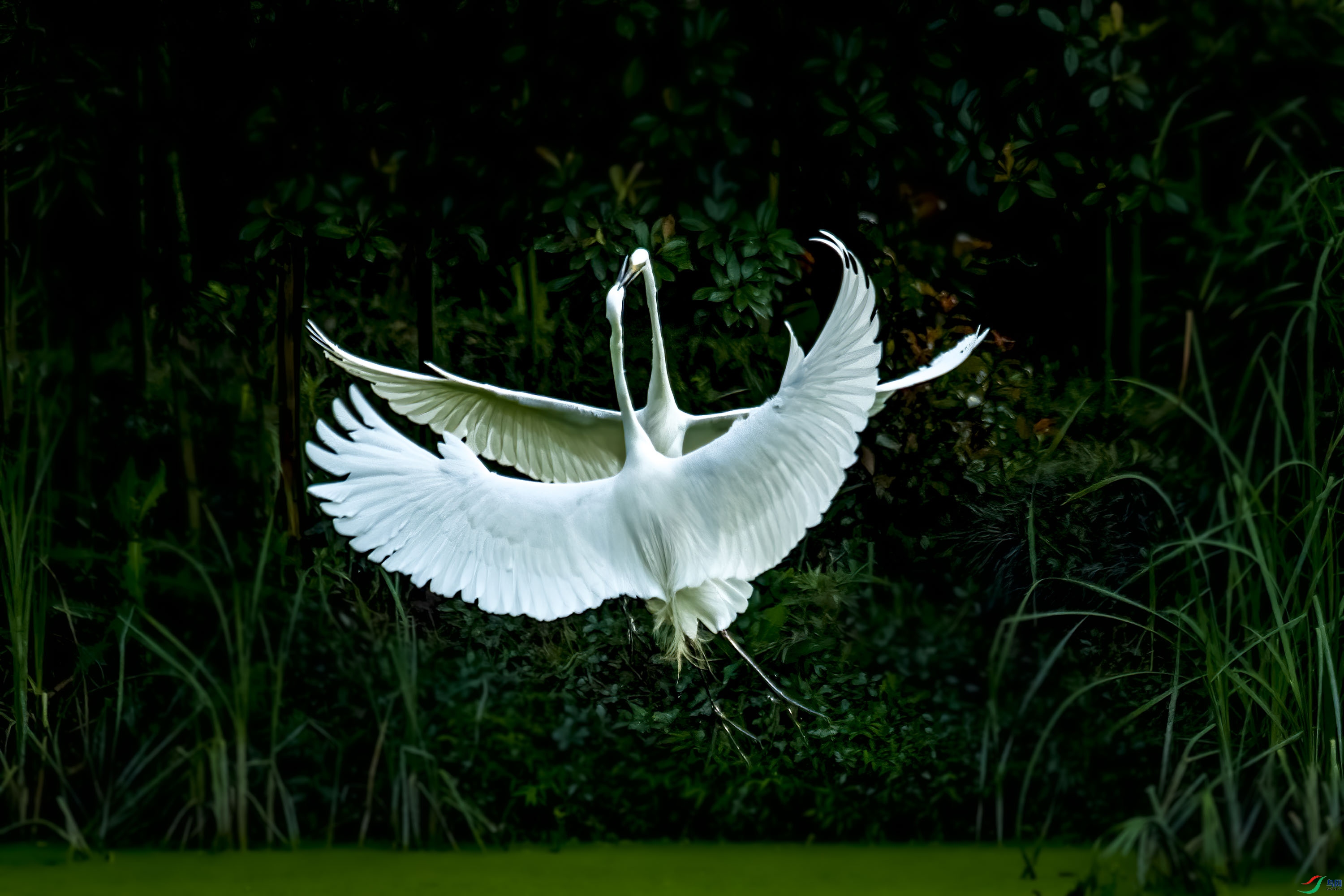 DSC_3797.JPG