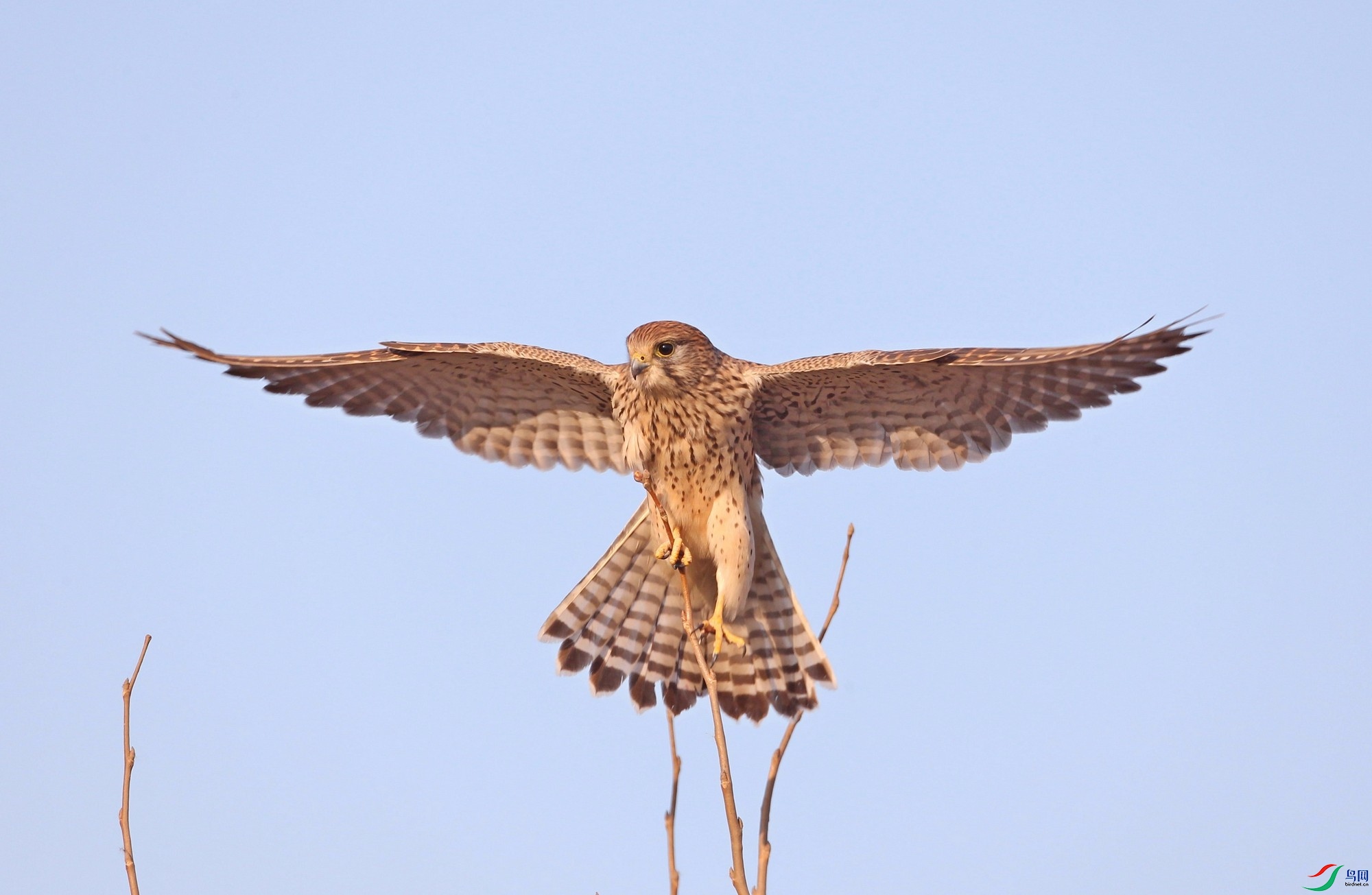 wb141115ʯ���� (21).jpg