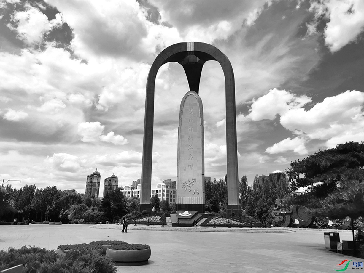 东北解放纪念碑设计者图片