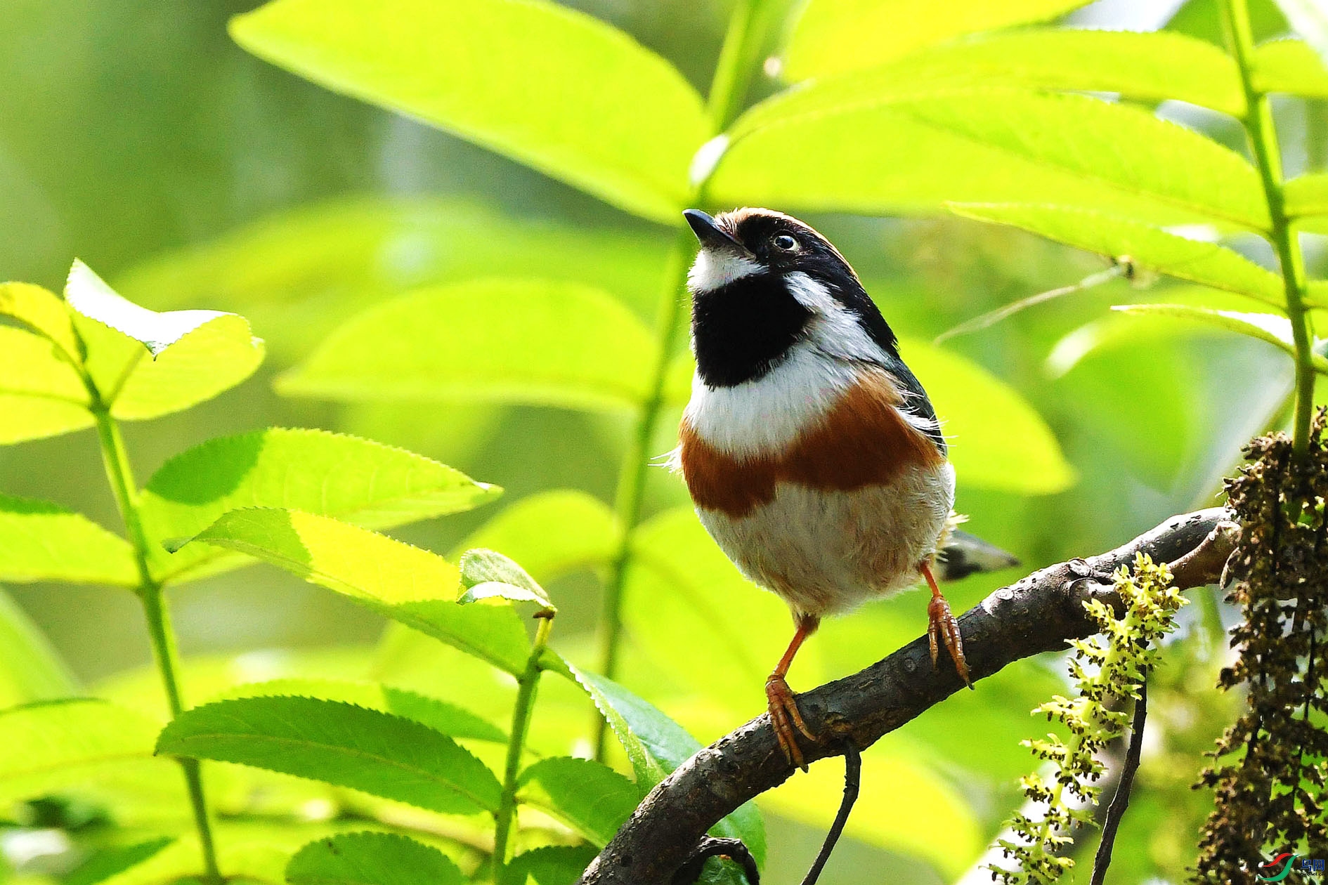 DSC_2281_����.jpg