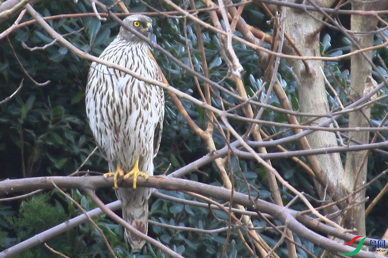 ����  IMG_1312.jpg