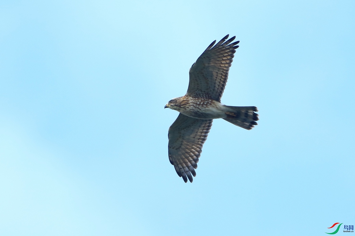 ʲô����  0F4A4510.JPG