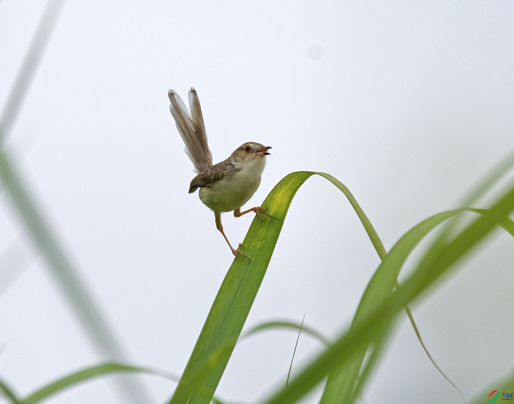 DSC_3758.jpg