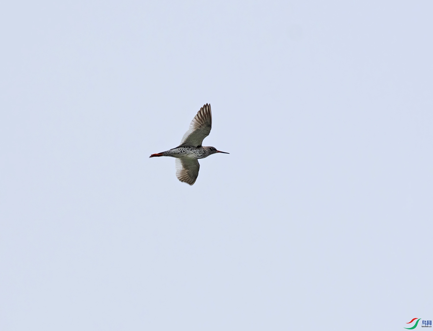 DSC_3708.jpg