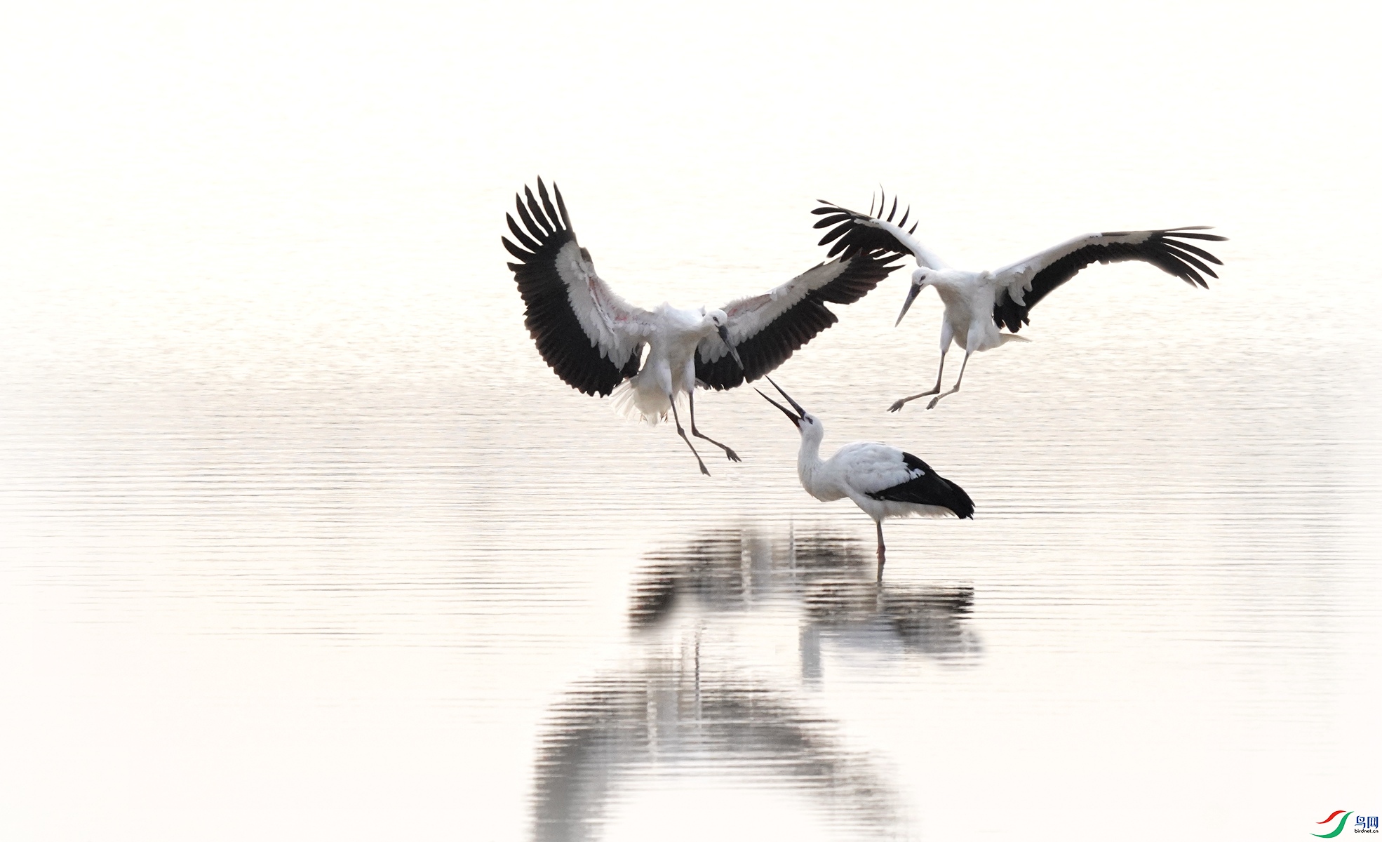 1 DSC08080,_����_����.jpg