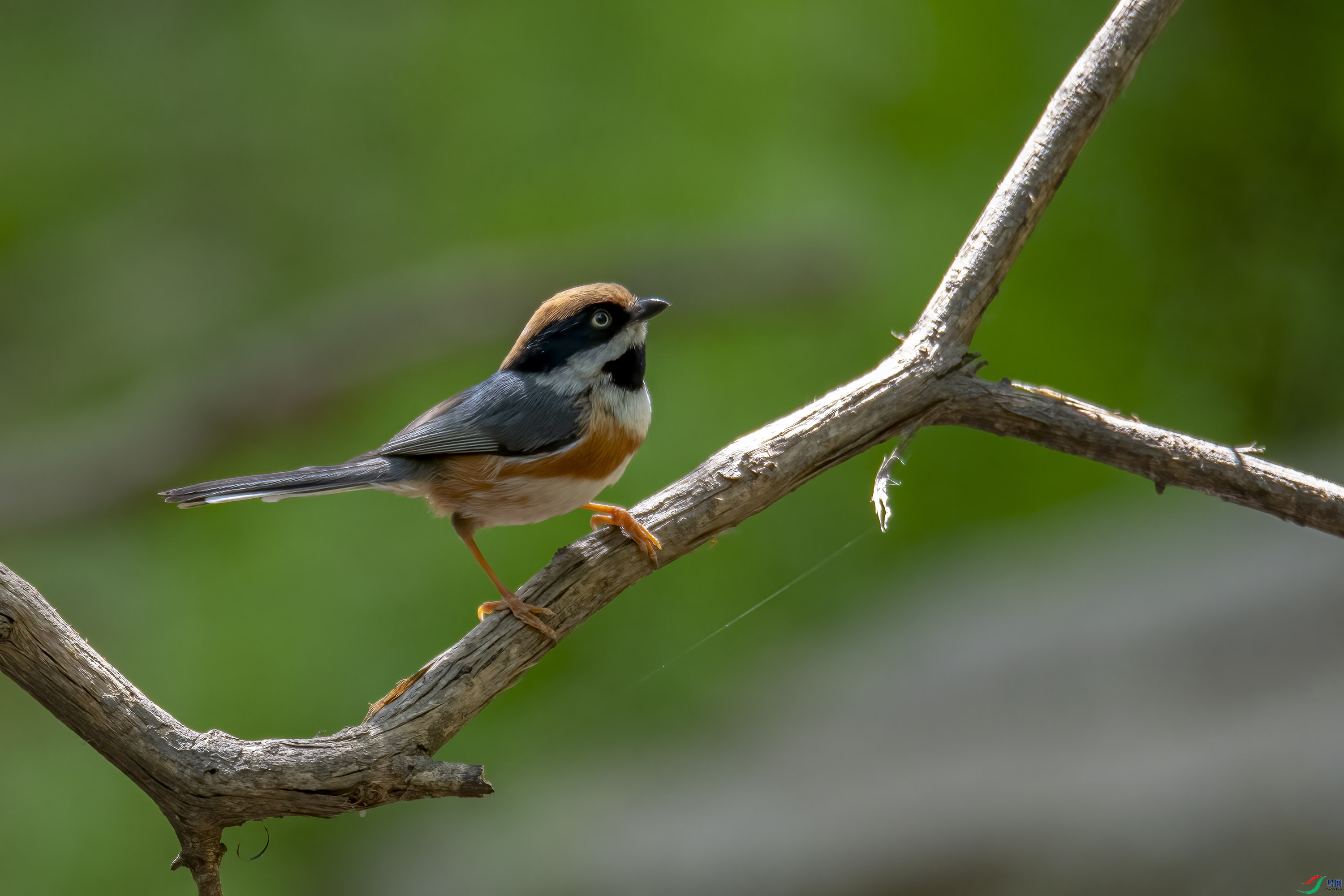 DSC_3067.jpg