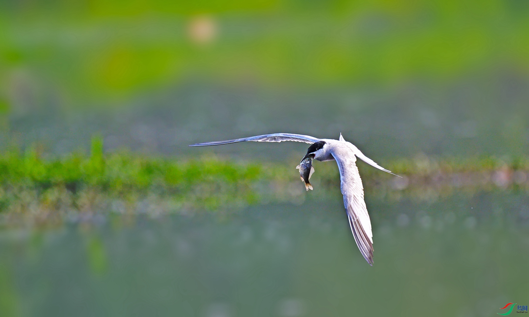 DSC_3059_����.jpg