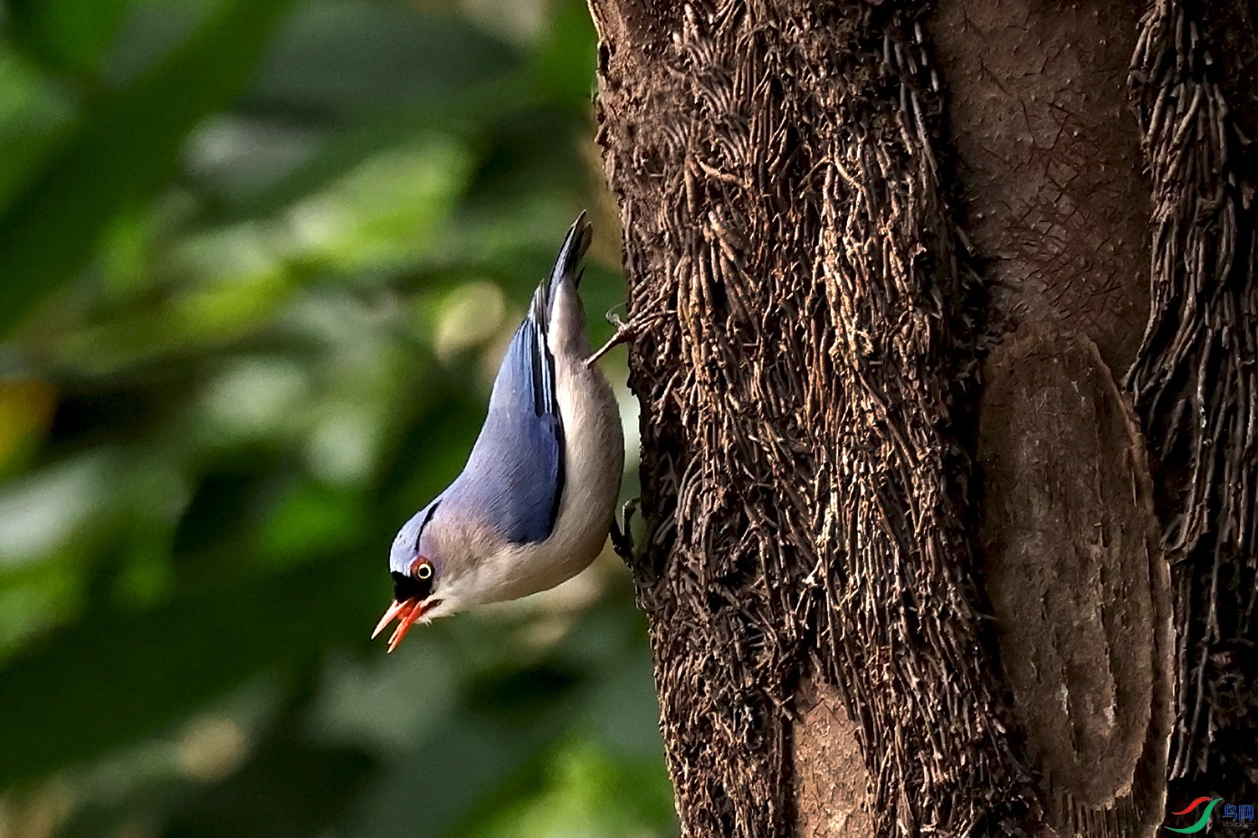 8A5765 ����.jpg