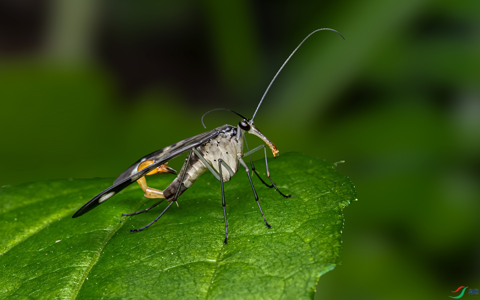 DSC06160-1.jpg