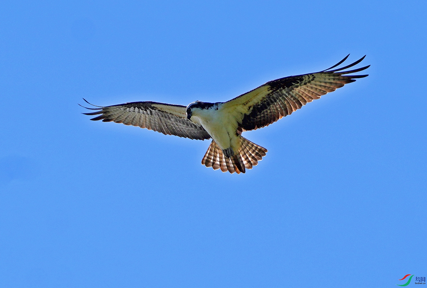 DSC05747----.jpg