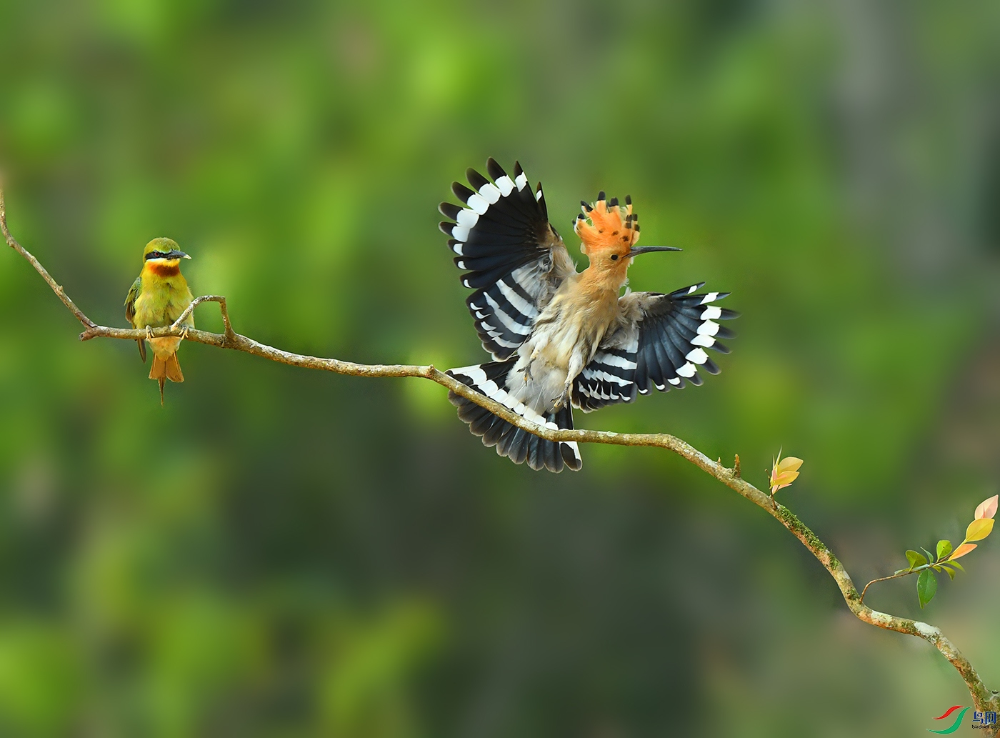 DSC_3381--4����.jpg