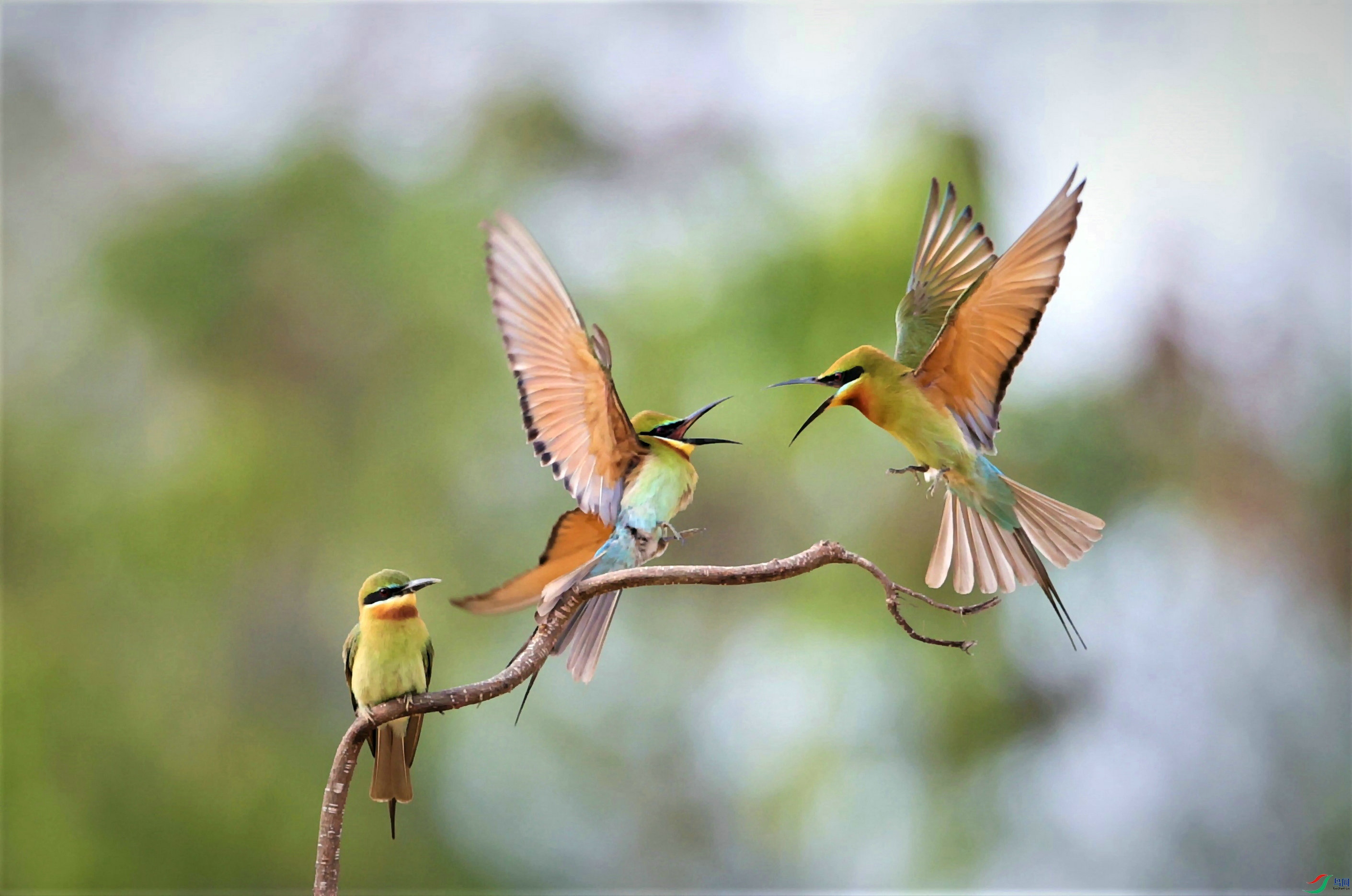 �����仢 2021-05-20 2I9698-00.jpg