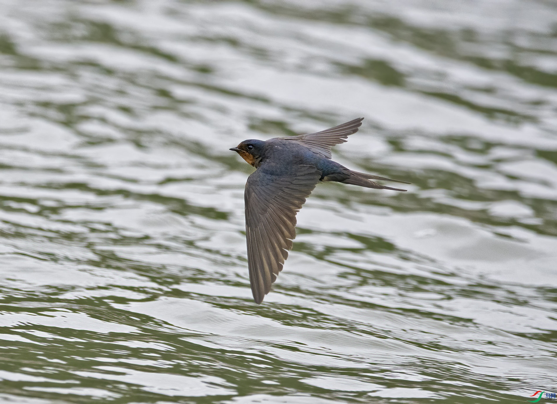 DSC_2865.jpg
