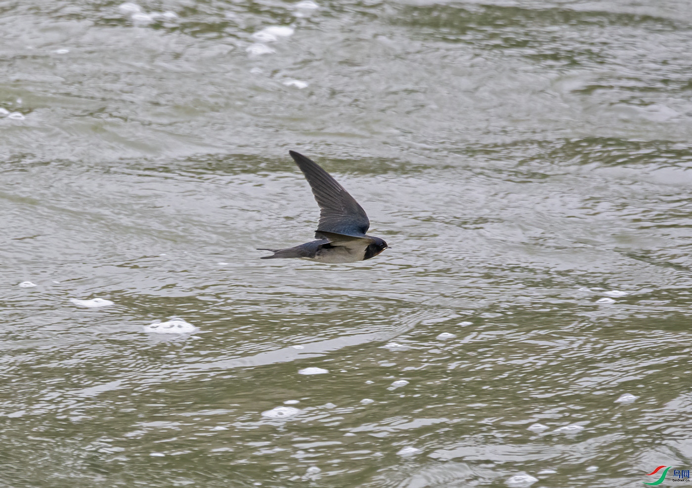DSC_2529.jpg