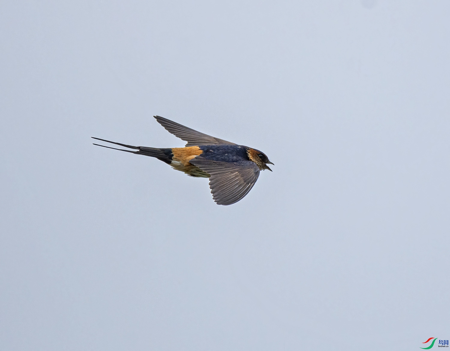 DSC_3214-1.jpg